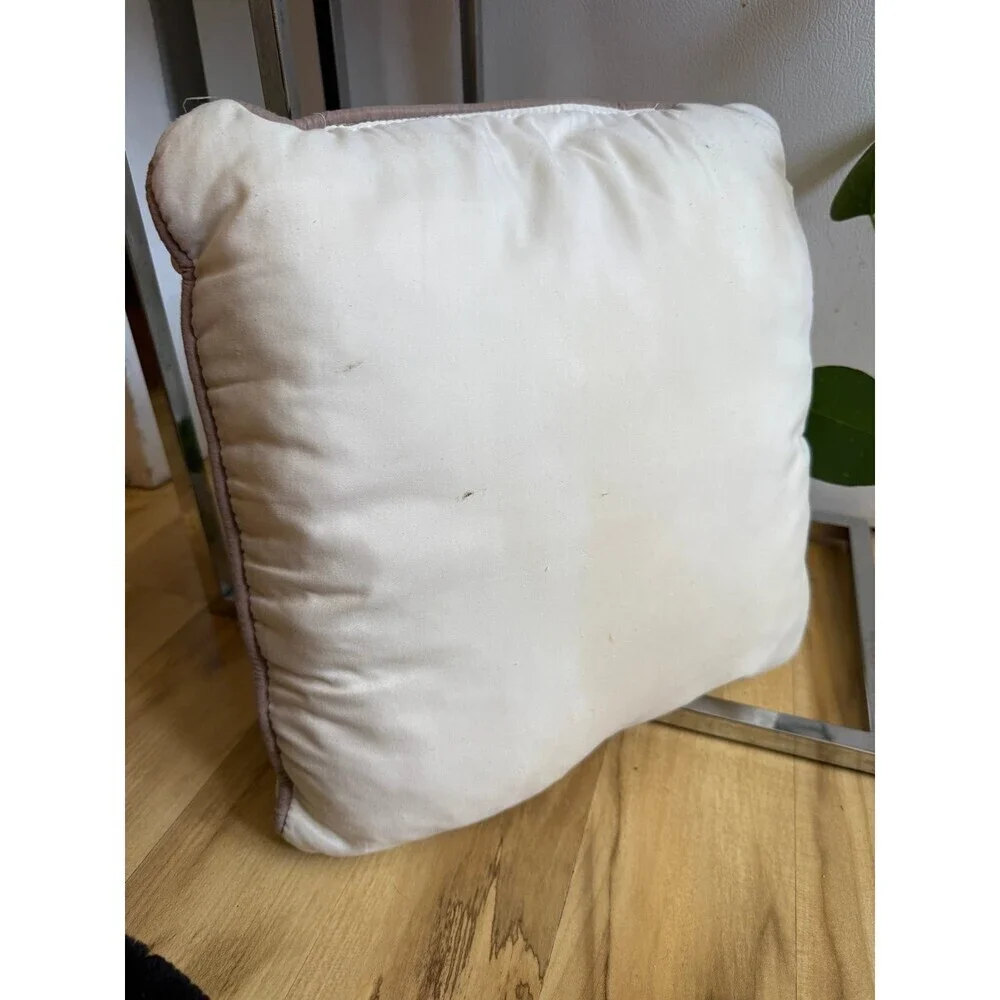 13 X 12.5 throw pillow